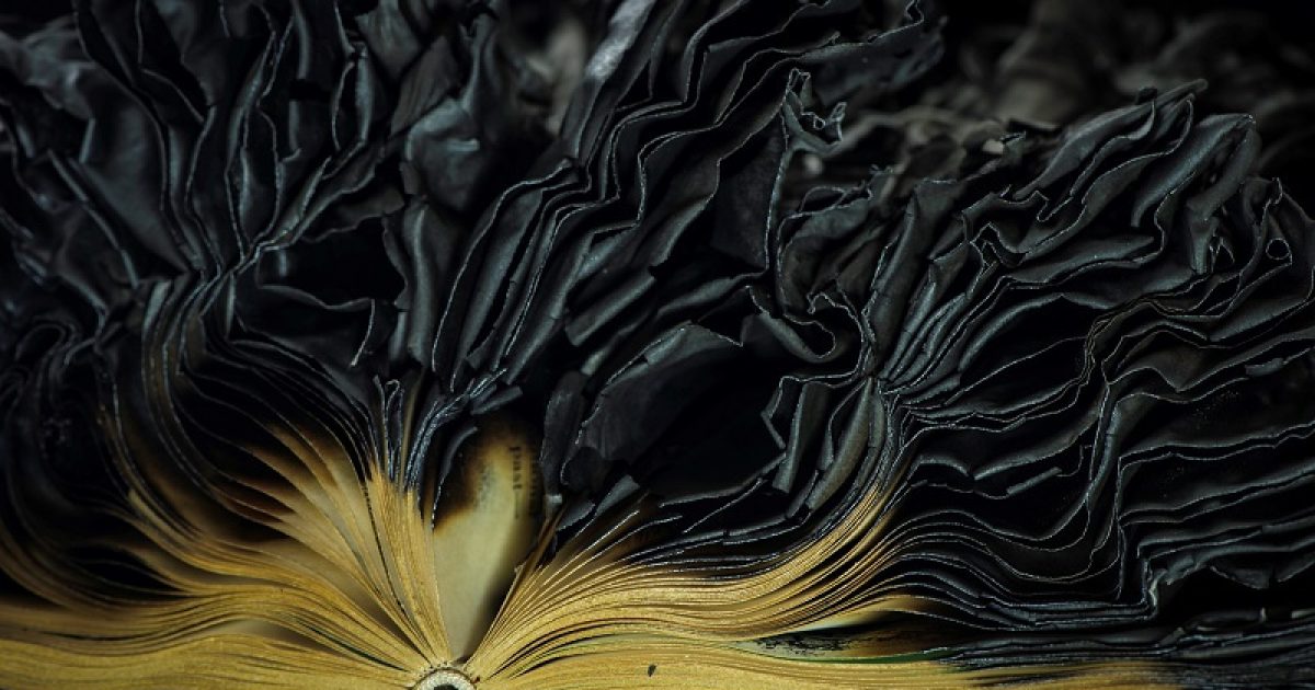 Michael Stapleton For Web Bw