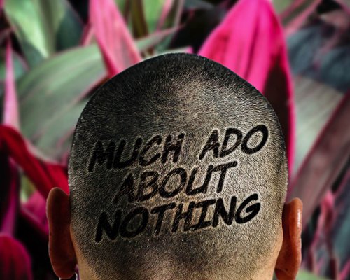 Much Ado About Nothing Image