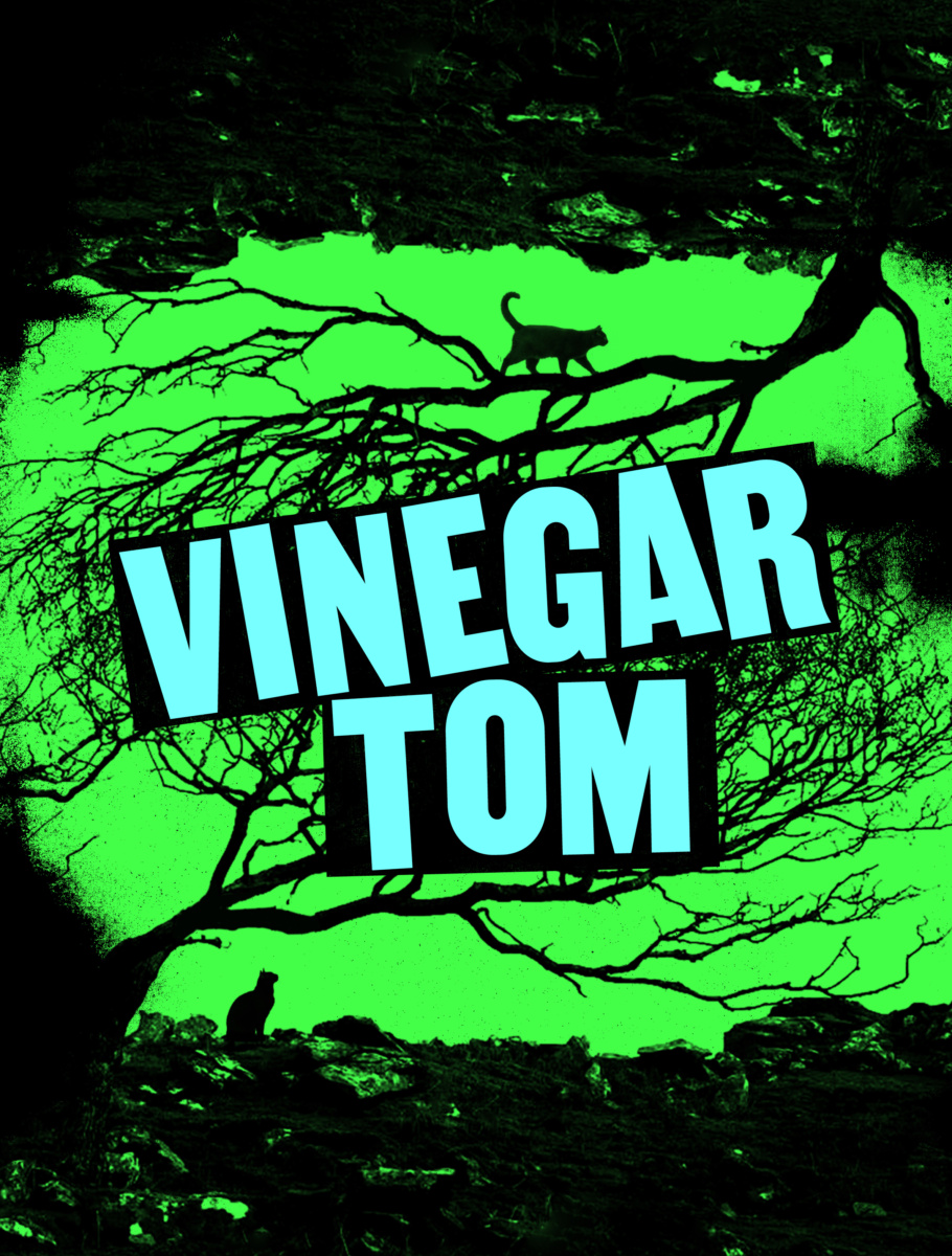 The Lir Vinegar Tom Poster IMAGE2
