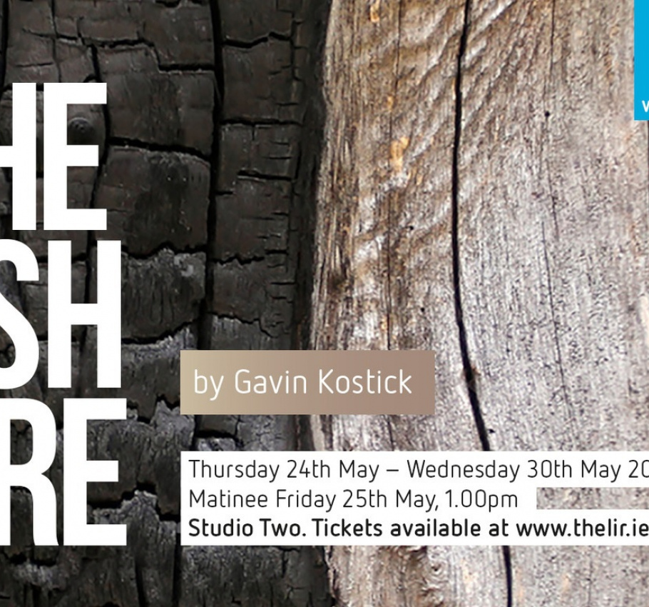 The Ash Fire by Gavin Kostick