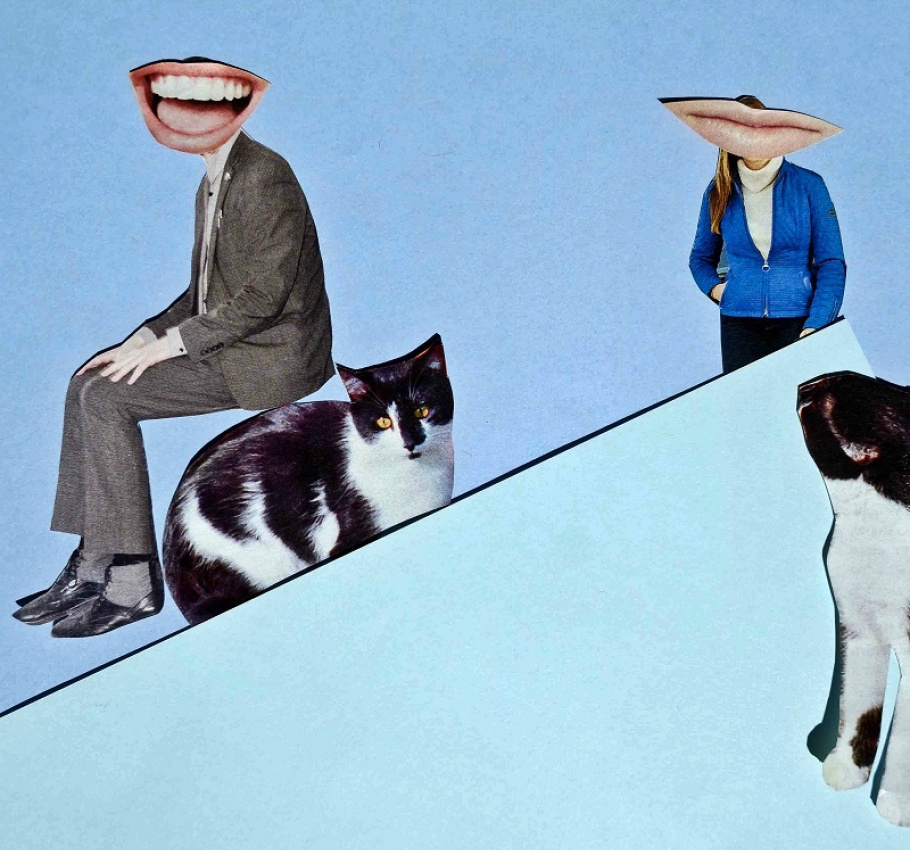 Tiger Dublin Fringe presents BlackCatfishMusketeer