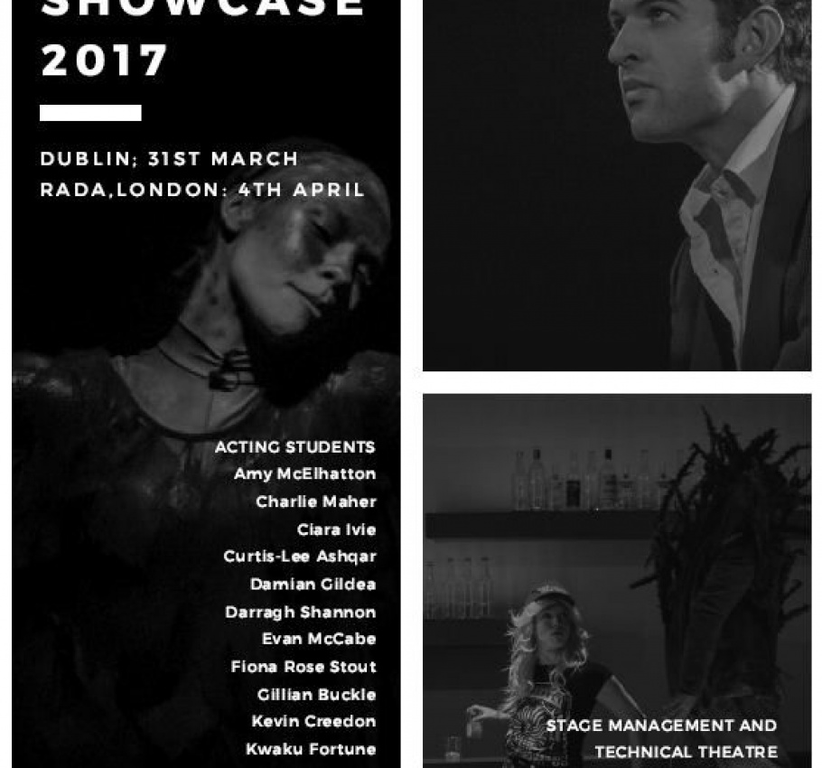 Dublin Showcase 2017