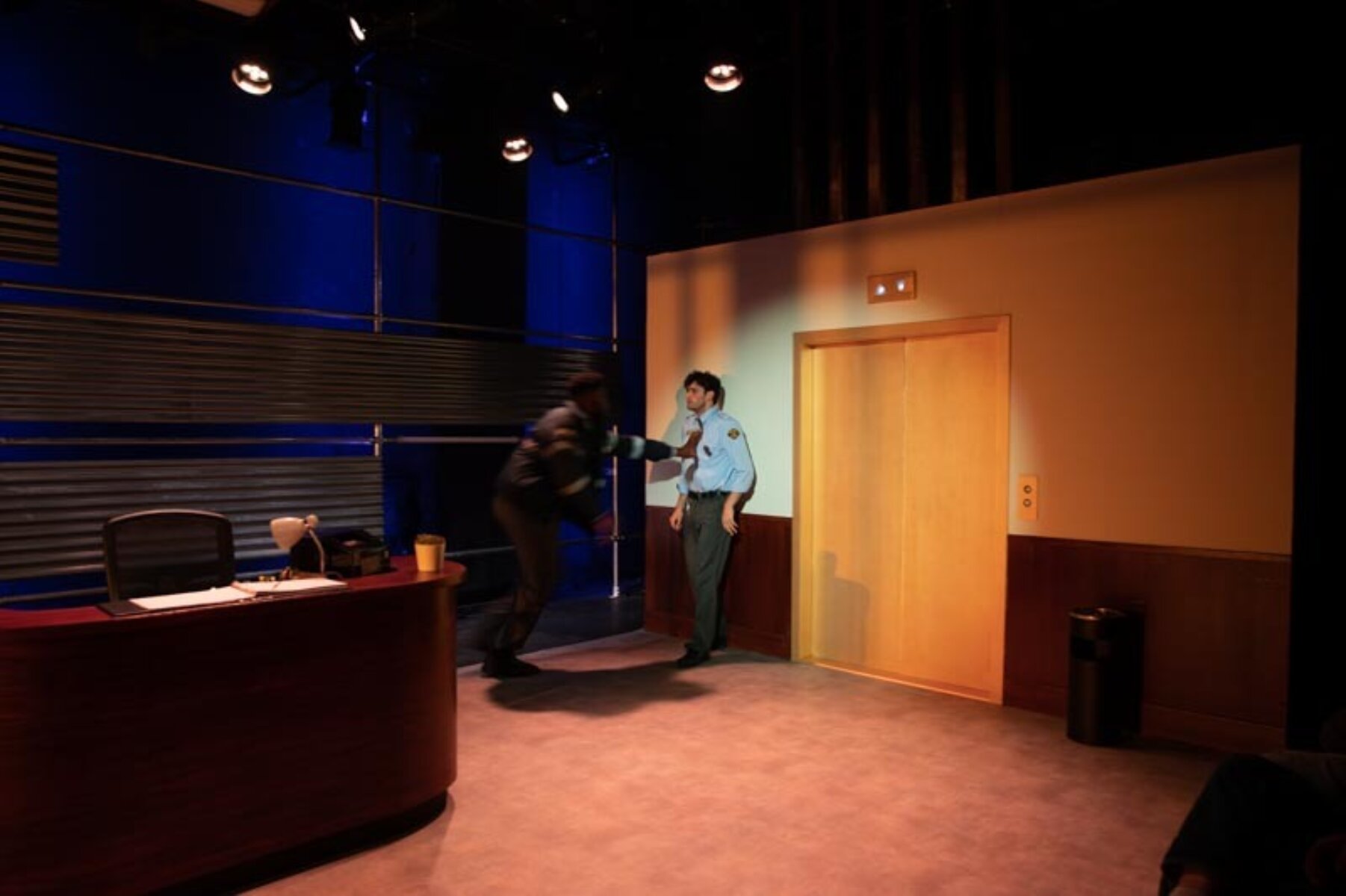 Lir Lobby Hero Low Res 205